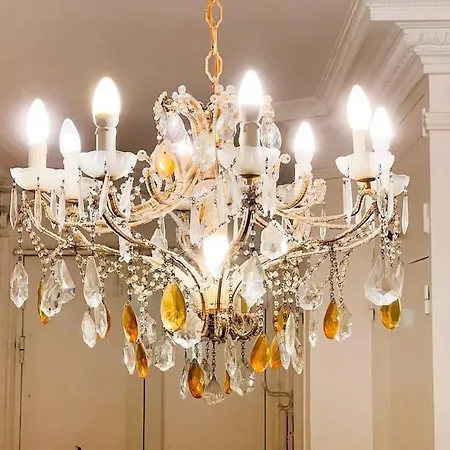 16th Arrondissement Luxury Living Daire